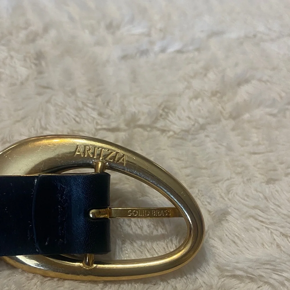 Aritzia Belt